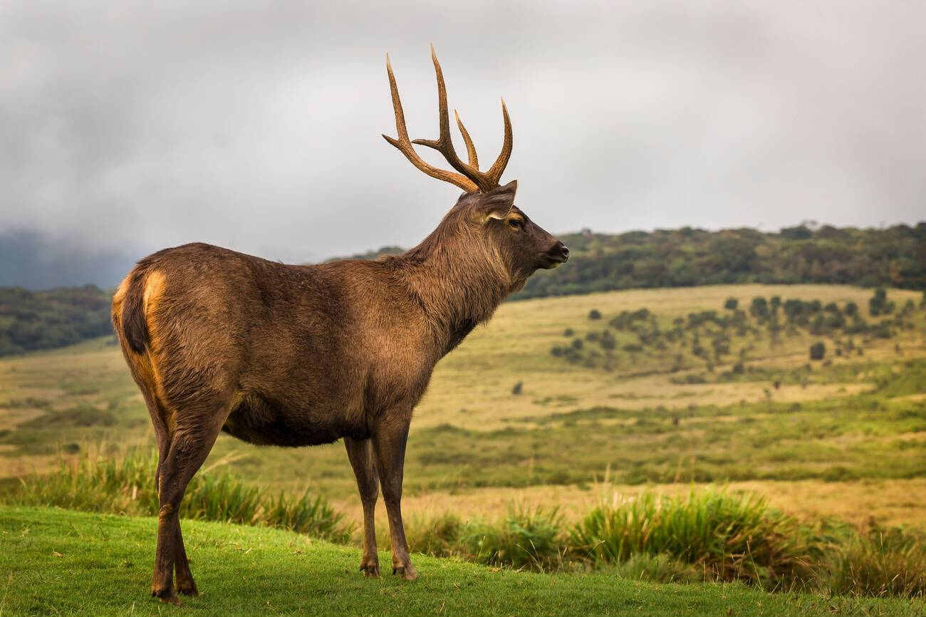Horton Plains